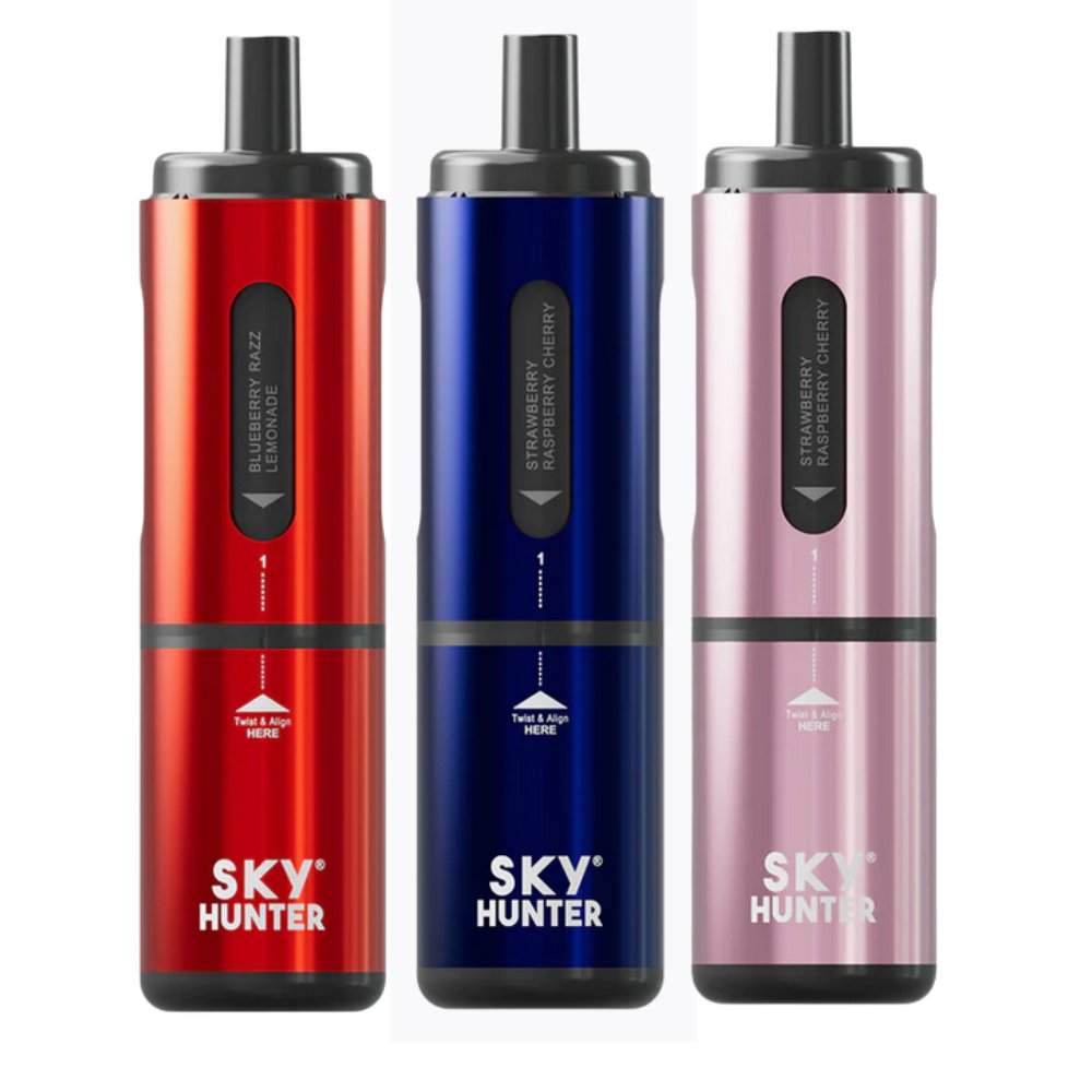 4 in 1 Sky Hunter 2600 disp