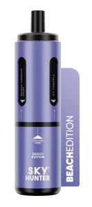 4 in 1 Sky Hunter 2600 disp