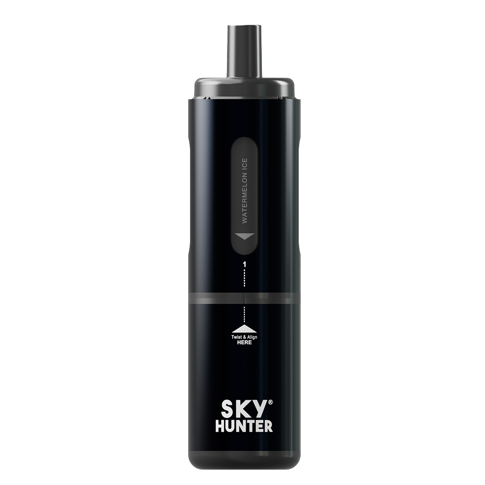 4 in 1 Sky Hunter 2600 disp